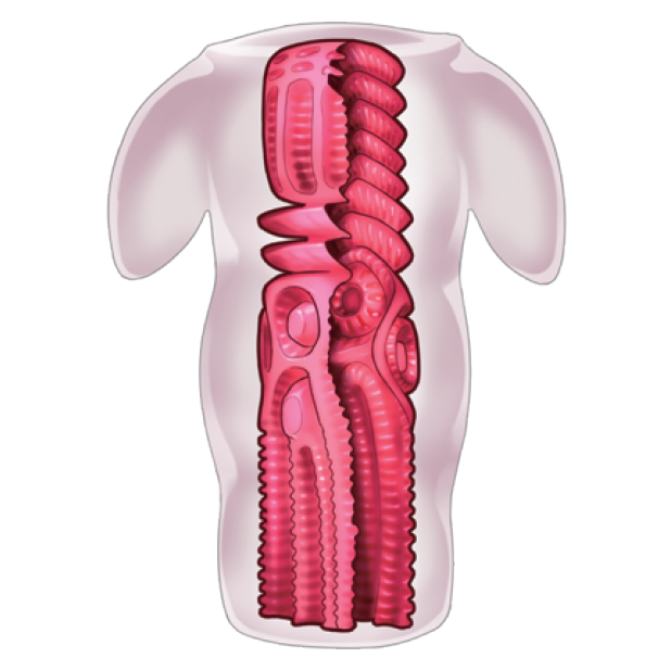 best onahole store percyone by peachtoys and percyona