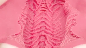 best onahole store percyone by peachtoys and percyona