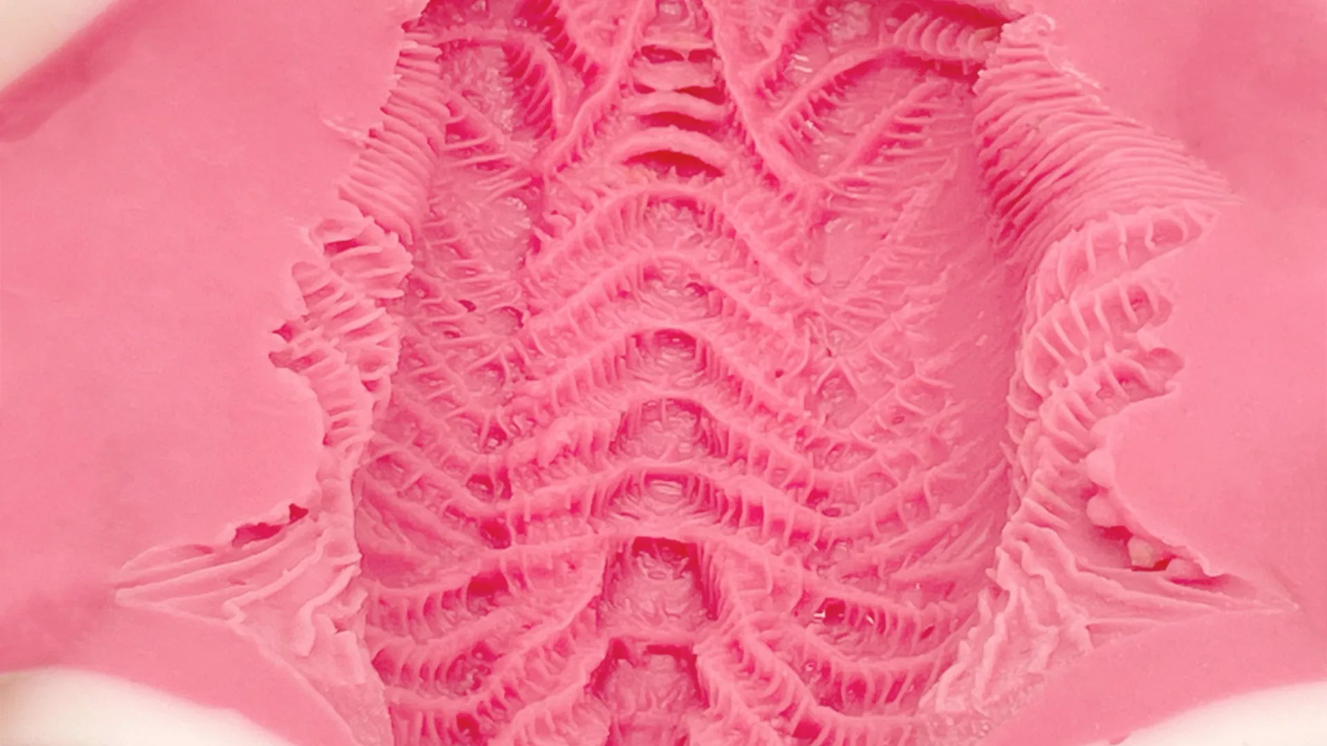 best onahole store percyone by peachtoys and percyona